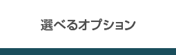 選べるオプション