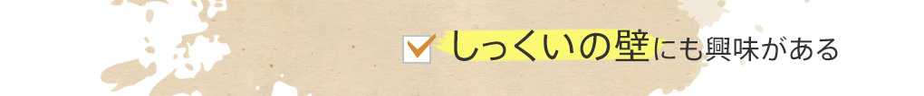 しっくいの壁にも興味がある