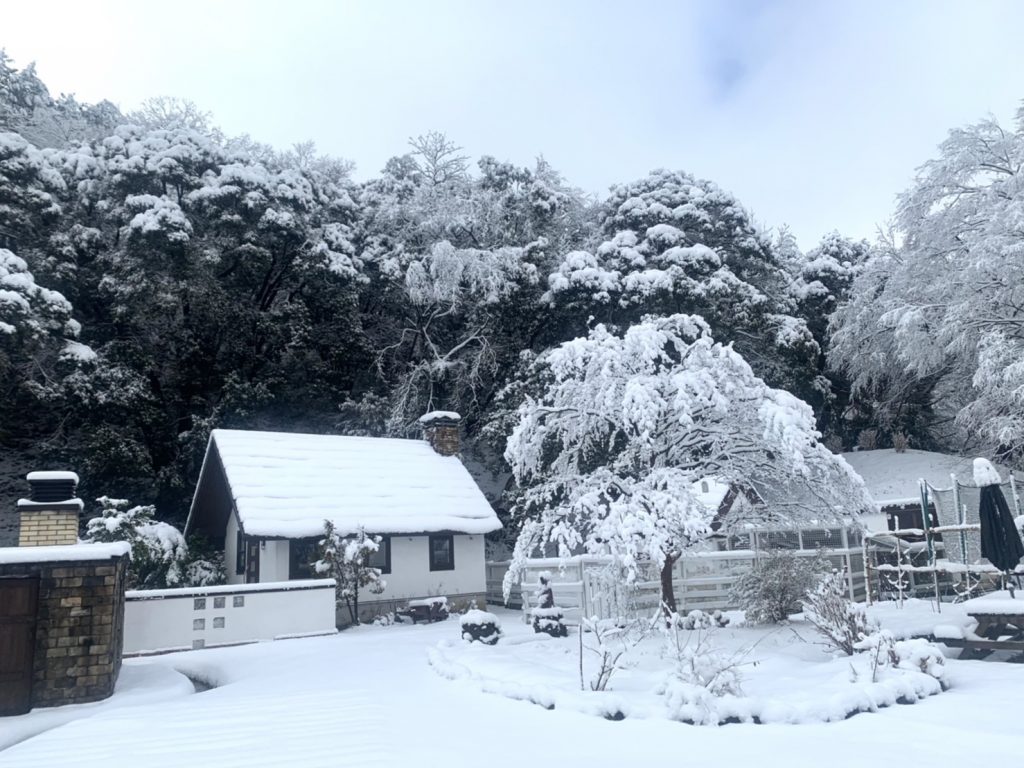 もくもく村