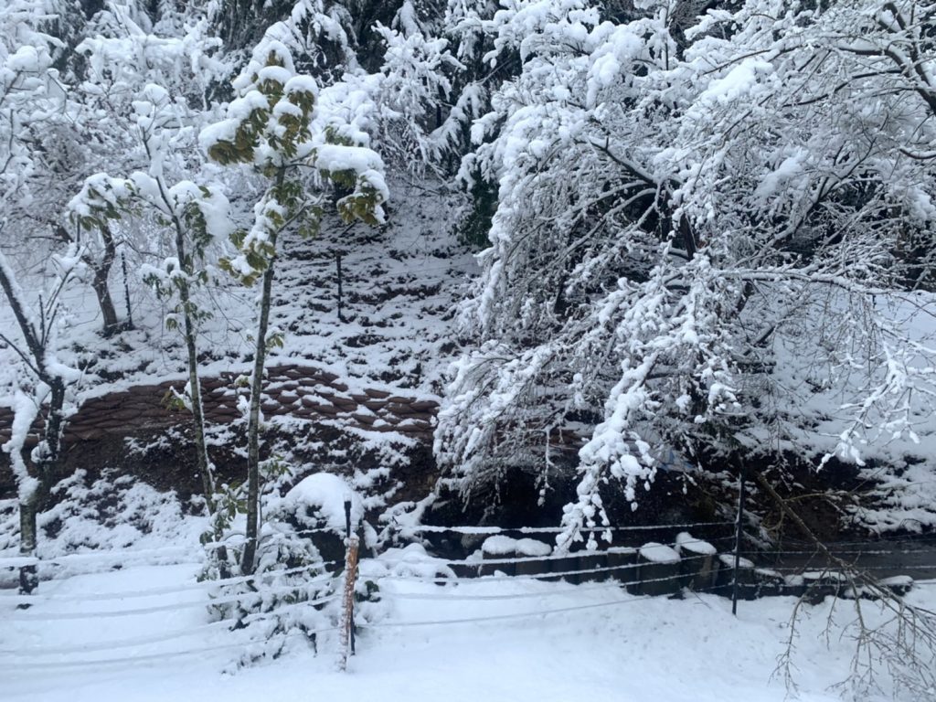 もくもく村