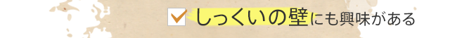 しっくいの壁にも興味がある